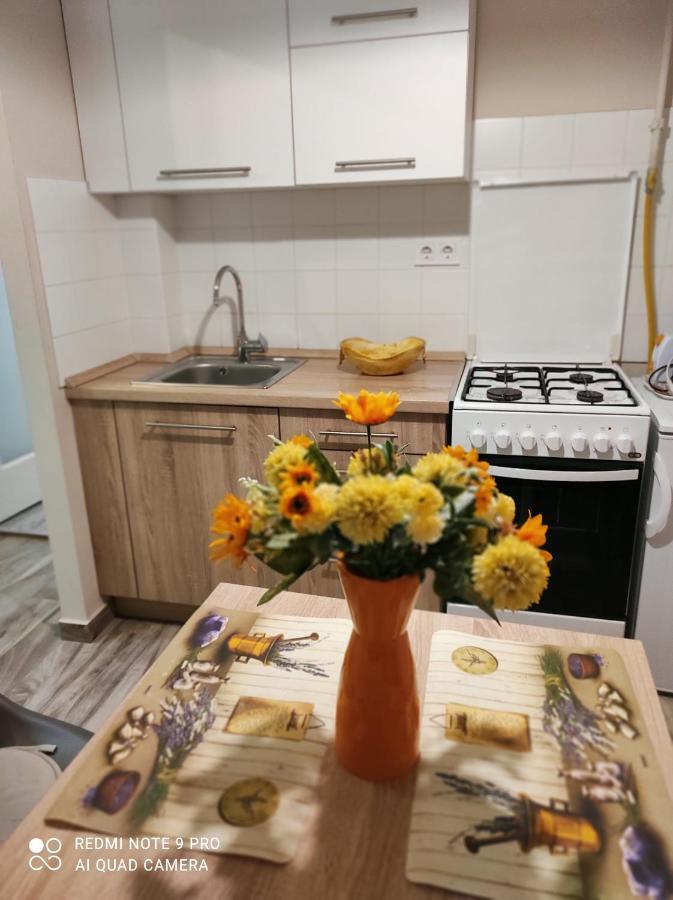 Baross Apartman คาโปชวาร์ ภายนอก รูปภาพ
